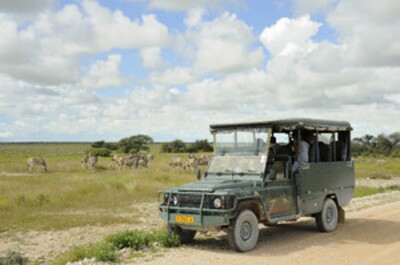 Jeepsafari Etosha NP Namibië Djoser