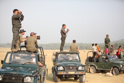 Jeep Safarireis India