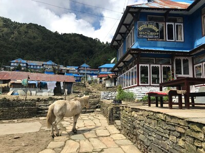 Nepal trekking accommodatie