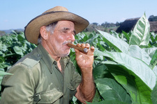 Typisch Cubaanse sigaar 