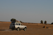 Ons vervoer in Wadi Rum 