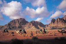 Ons vervoer met Kamelen 