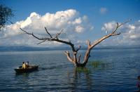 Lake Chamo Ethiopië Djoser