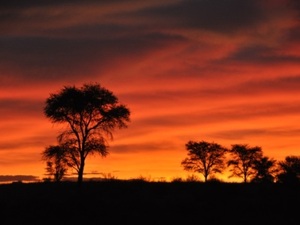 Zonsondergang bij Oranjerivier