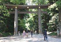 Meiji tempel torii Tokyo Japan Djoser