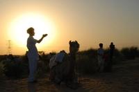 Kamelensafari ondergaande zon Bikaner India Djoser