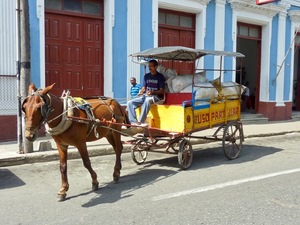 Cienfuegos paard & wagen