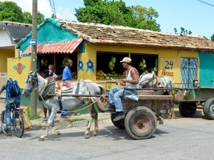 Trinidad paard & wagen