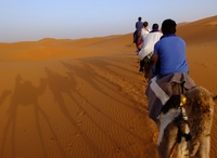 Kamelenrit zonsondergang woestijn Marokko