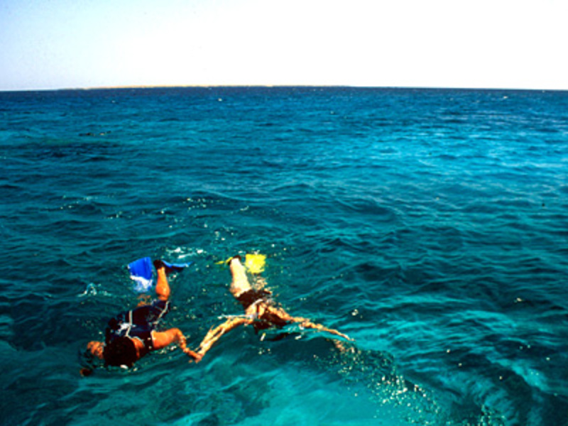 Egypte: duik- en snorkelparadijs