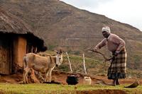 Dame bij haar huis Lesotho Zuid-Afrika Djoser