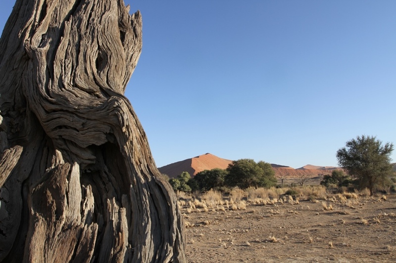 Namib Naukluft - bedding Tsauchabrivier 