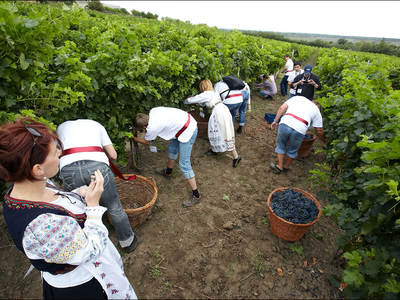 Wijnfestiviteiten in Moldavië