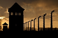 Auschwitz-Birkenau Djoser Polen