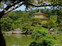Gouden Tempel Kyoto Japan Djoser