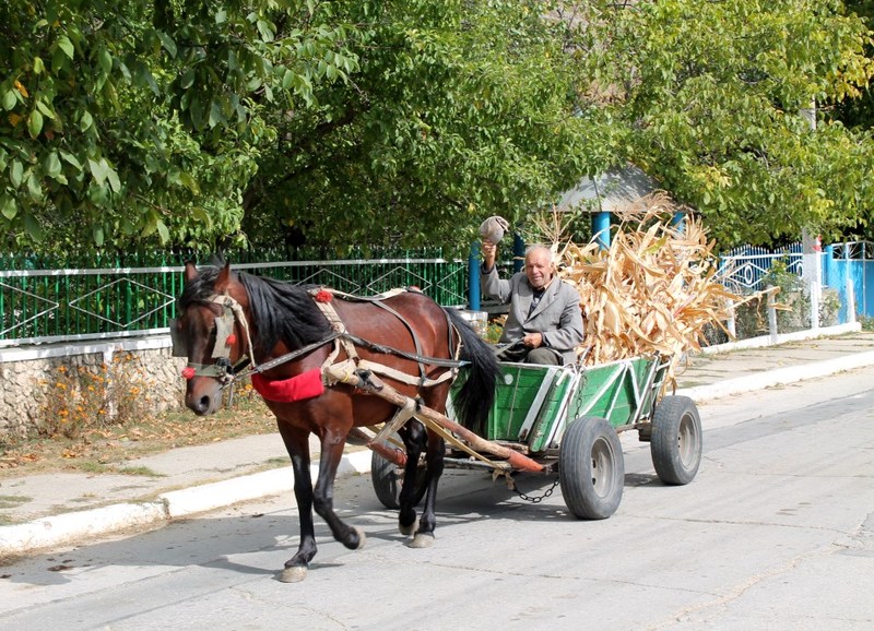 Paard en wagen Butuceni Casa Verde Moldavie