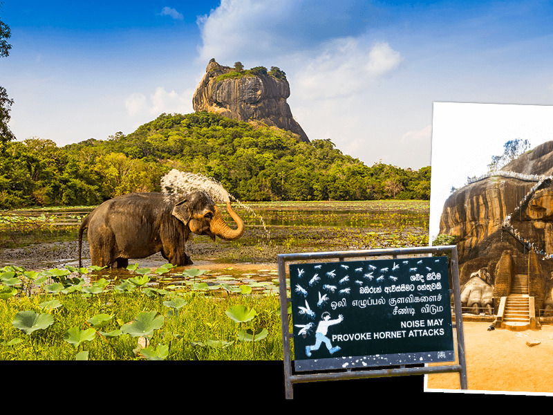 Sigiriya: de rots van koning Kassapa