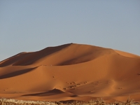 Woestijn Marokkko