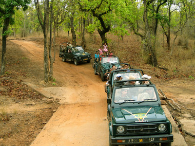 Jeep Safrireis India Djoser