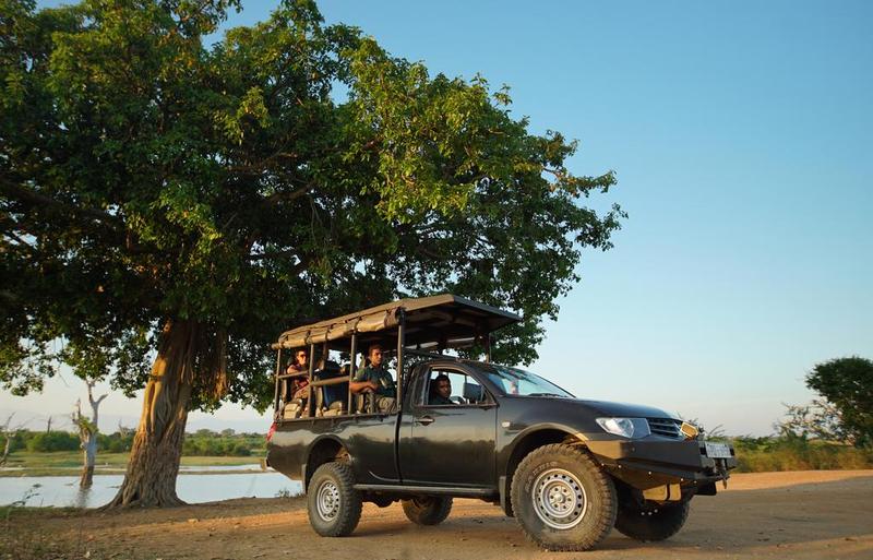 Wilpattu national park - jeep