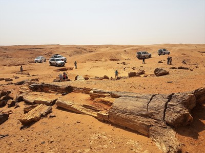 Jeeps Soedan