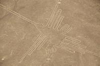 Nazca lijne vogel Peru