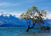 Lake Wanaka Nieuw-Zeeland