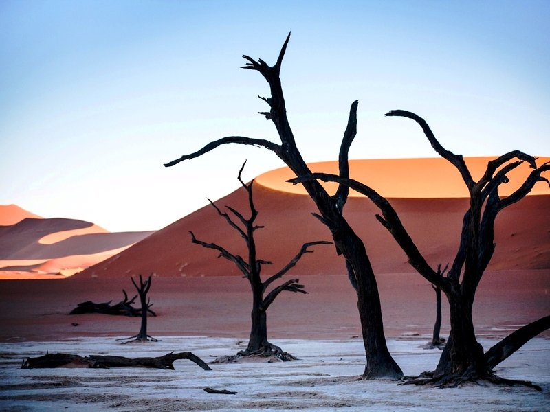 De drie hoogtepunten van Namibië