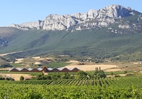 Rioja wijn bergen Spanje