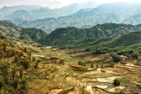 Sa Pa rijstveld Vietnam