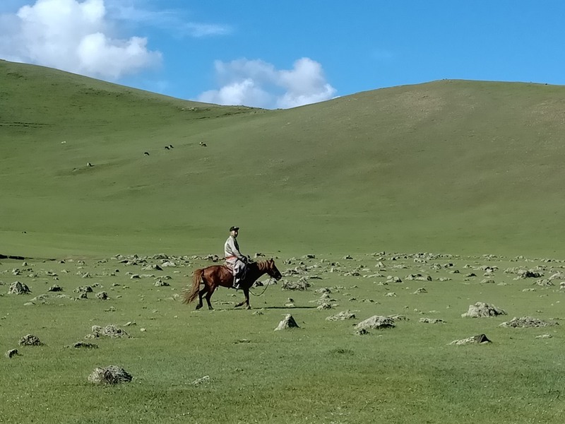 Mongolië en het verrassende groen van de Orkhon Vallei