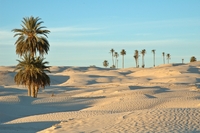 Tozeur woestijn Tunesië