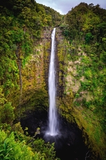 Akaka falls Hawaii