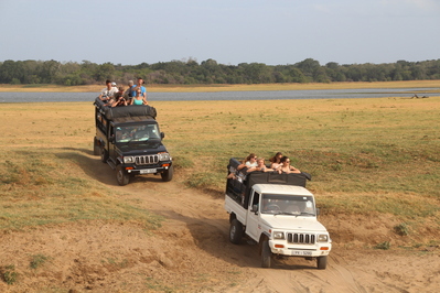 Jeep safari Sri Lanka