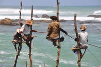 Local fisherman Sri Lanka