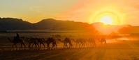 Jordanie sunset kamelen