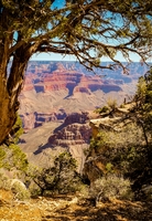 Djoser Amerika USA Grand Canyon