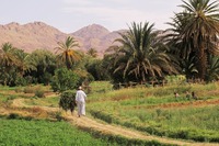 Tinerhir Marokko