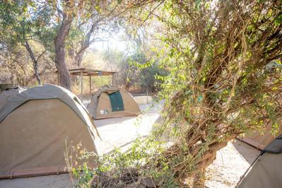 Campsite Sitatunga Camp Maun Namibië Djoser