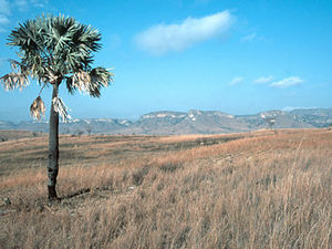 Isalo Nationaal Park - landschap