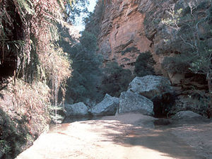 Isalo National Park – Canyon des Singes