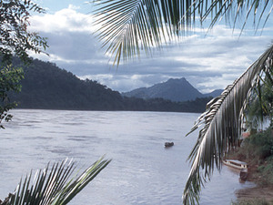 Mekong - natuur