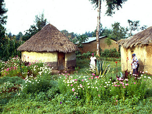 Kikuyuland - huisjes