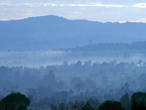 Cherangani Hills – ochtend mist