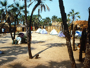 Lake Turkana – onze campsite