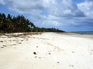Nyali Beach - strand