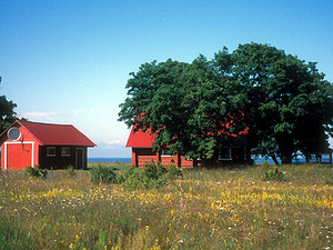 Saaremaa - huizen