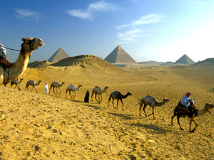 Gizeh - kamelen en piramides