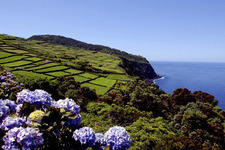 Terceira - uitzicht op zee