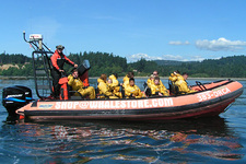 Orca's spotten bij Victoria op Vancouver Island